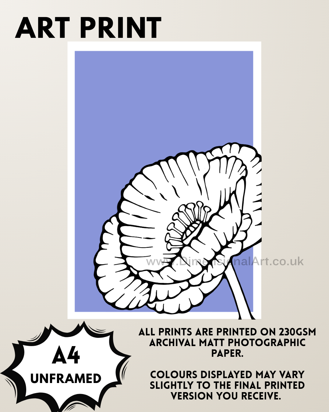 Poppy A4 Print