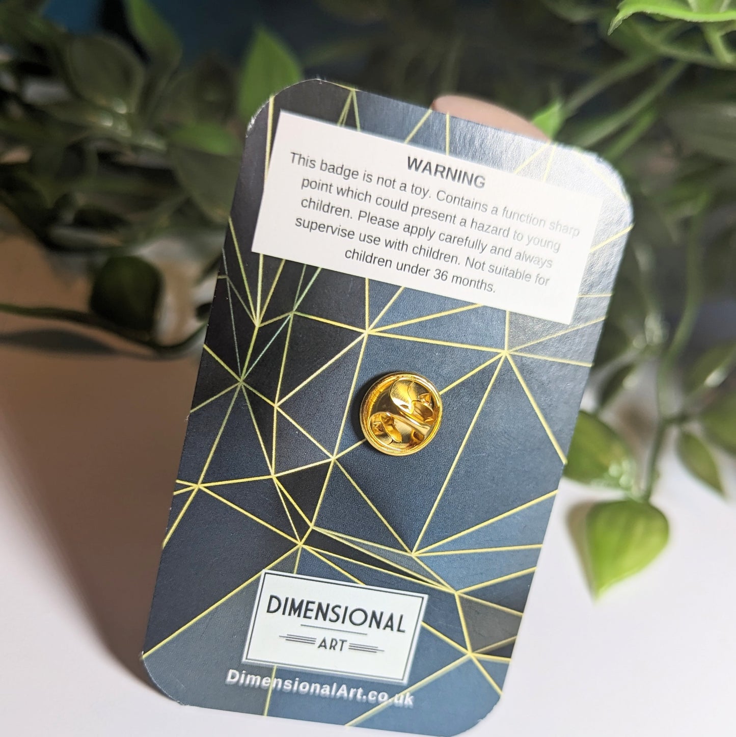 Pride and Welsh Flag Pin badge