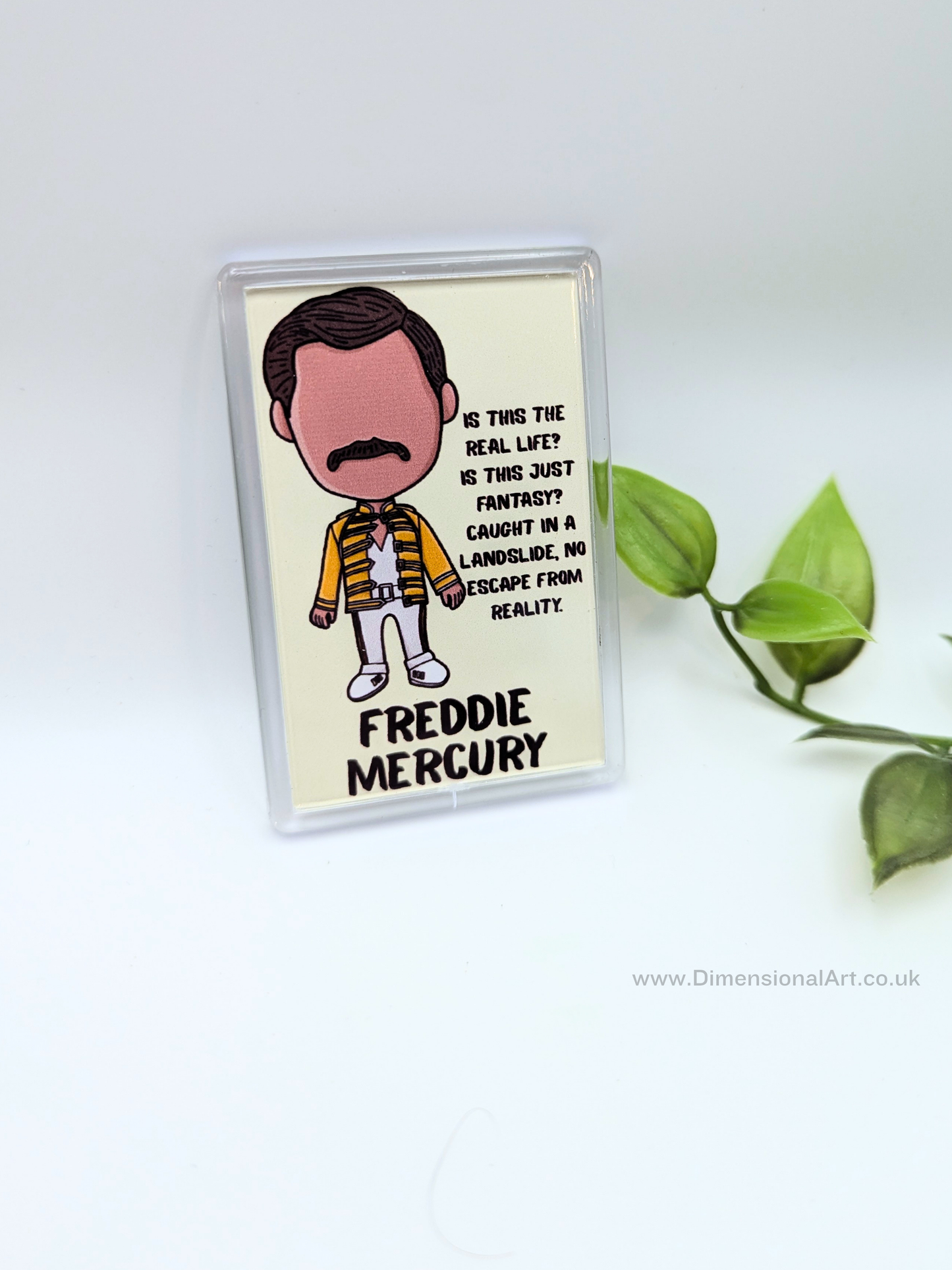 Freddie Mercury Magnet