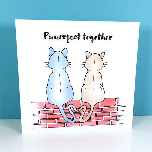 perfect couple Card - Cat couple