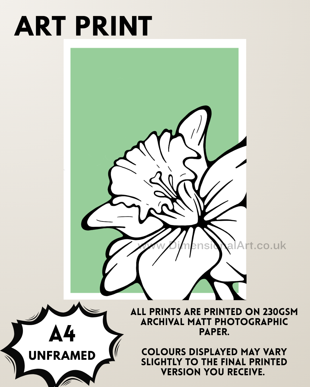 Daffodil A4 Print