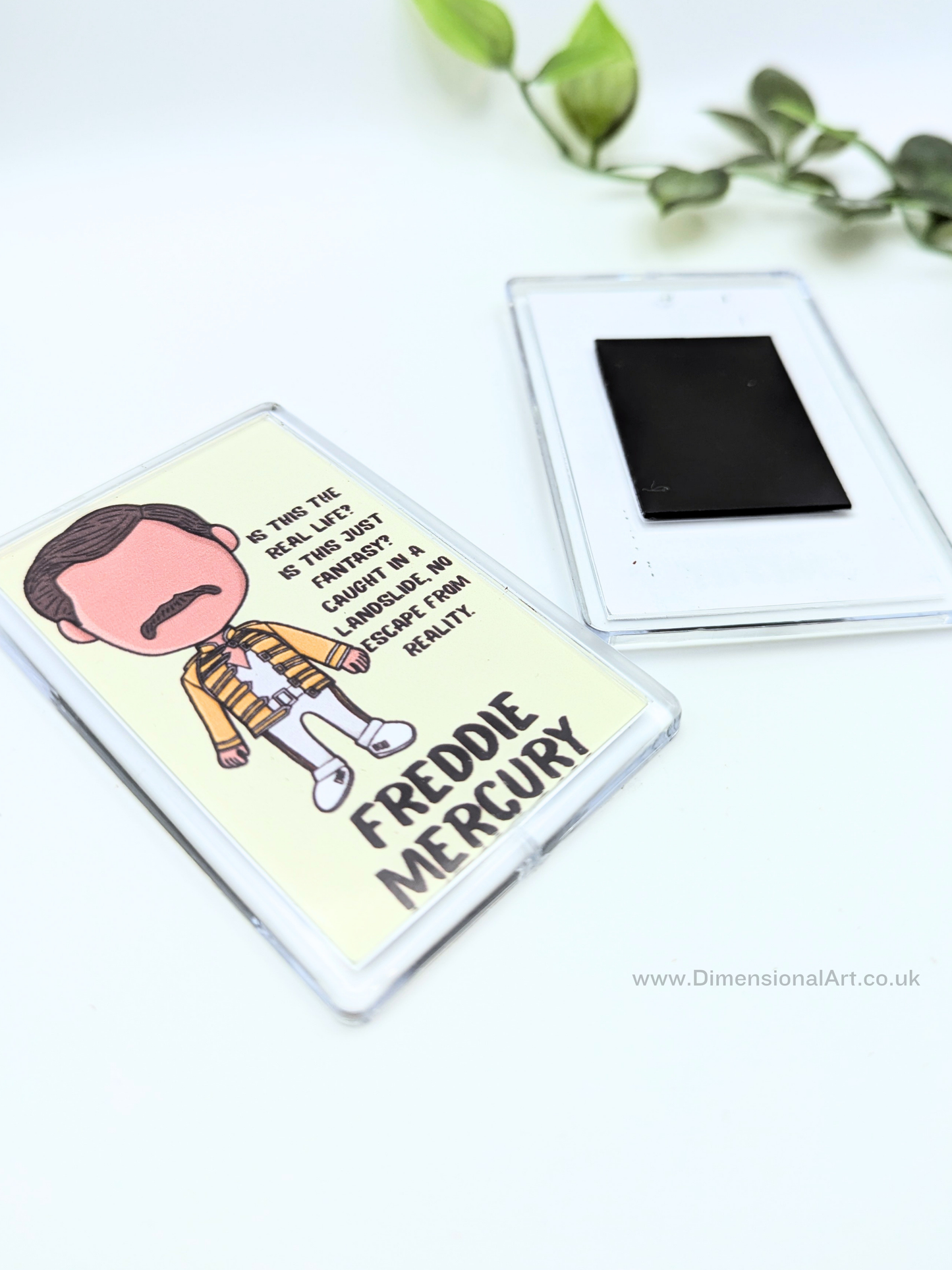 Freddie Mercury Magnet