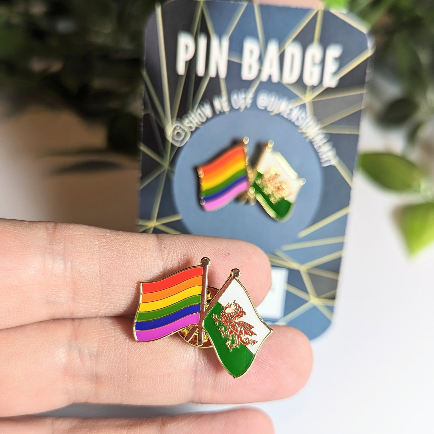 Pride and Welsh Flag Pin badge