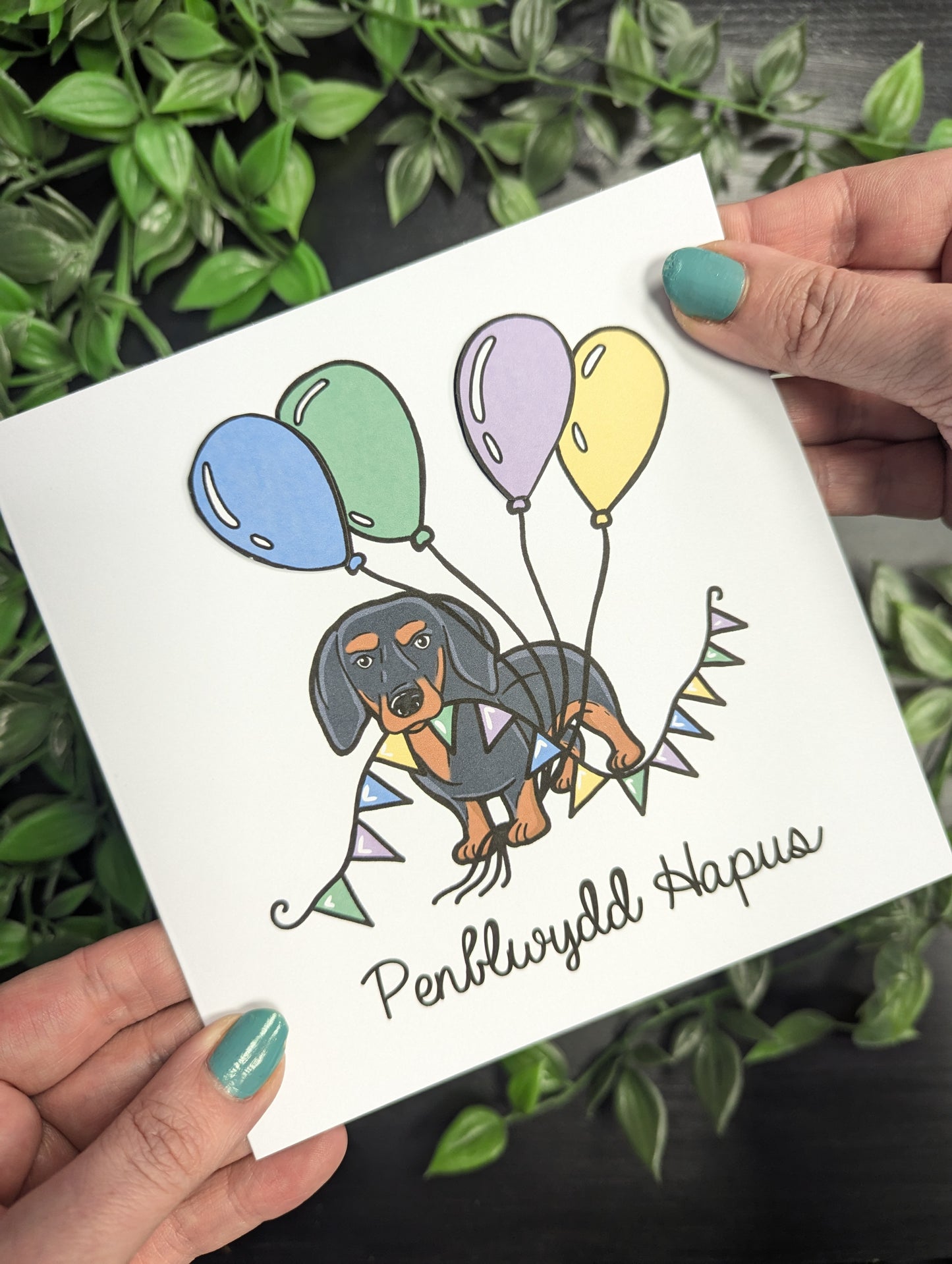 Dachshund - sausage dog - Penblwydd Hapus (Birthday Card) Welsh Card