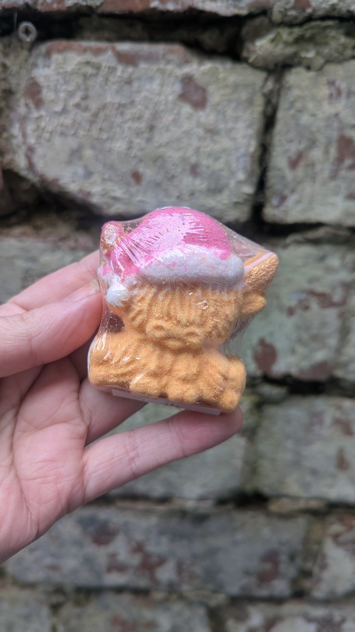 MINI Merry Hamish the COO!